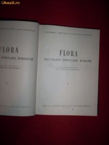 Flora RPR-volumul 1 foto