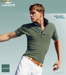 Tricouri 100 % ORIGINALE          Lacoste Polo foto