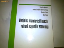 Disciplina financiara foto