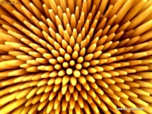 Scobitori  calitate A foto