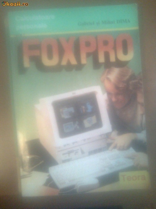 FOXPRO - GABRIEL SI MIHAI DIMA foto mare