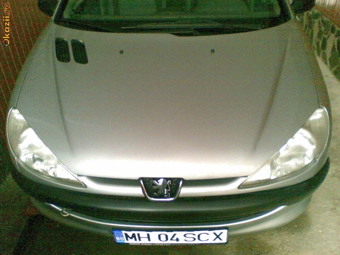 Peugeot 206 foto mare