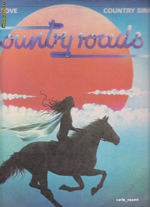 COUNTRY ROADS ~VINIL foto mare