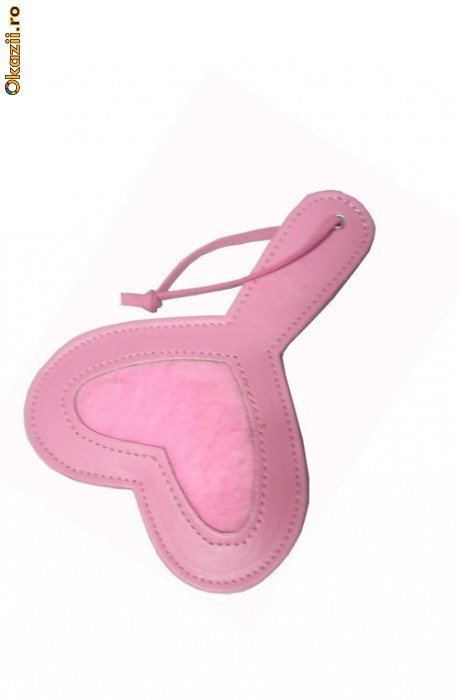 R44  Accesorii  Paleta  Bici foto mare
